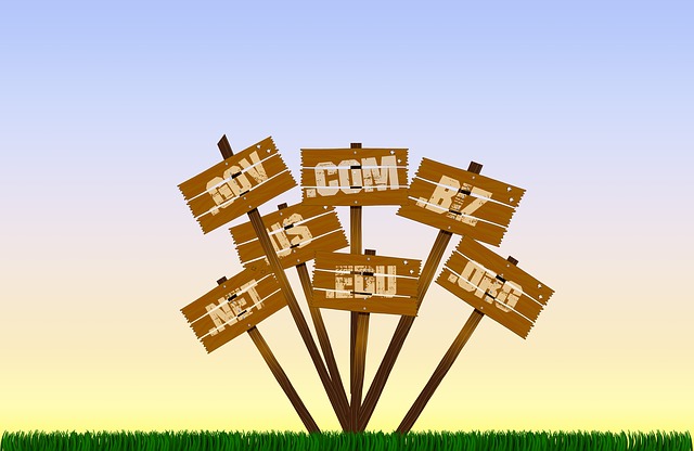 Umlautdomains - Are They Useful?
