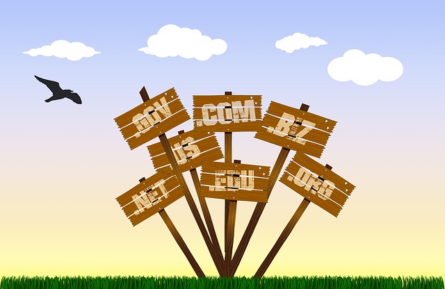 Find domain name